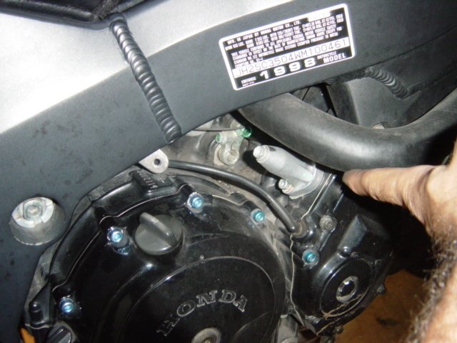 IPB Image