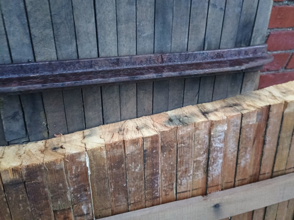 Wood3.thumb.jpg.eb0de716b2a0998bbfb4e6162a28d075.jpg