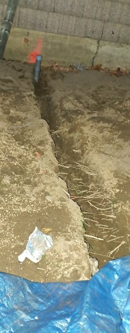 20241120_170841.jpg